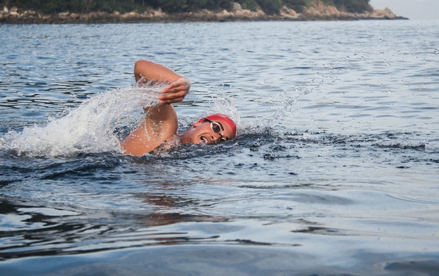 Openwater swimming training