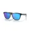 Oakley Frogskins OO-9013-F6 In Prizm Sapphire Polarized Lenses/Crystal Black Frame