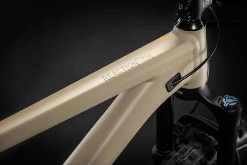 Cube Reaction TM Mountain Bike in Brown-4