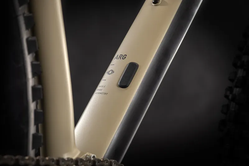 Cube Reaction TM Mountain Bike in Brown-3