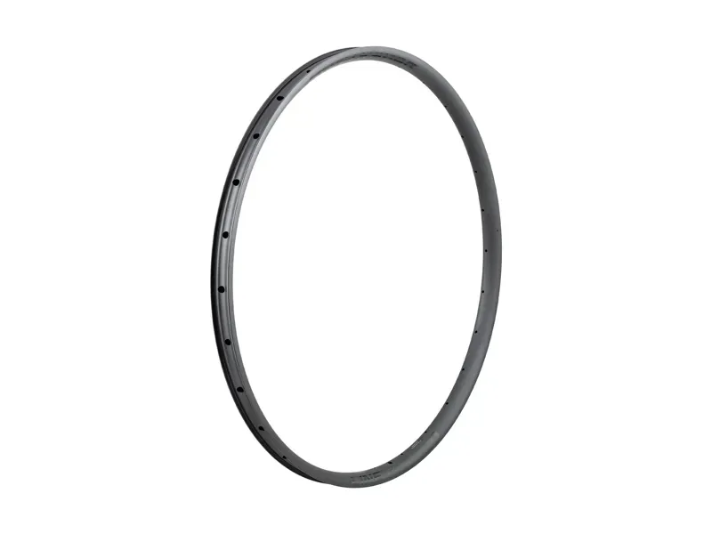Bontrager Line Comp 30 29in TLR PV 28H Gen2 Rim Black Front or Rear-1