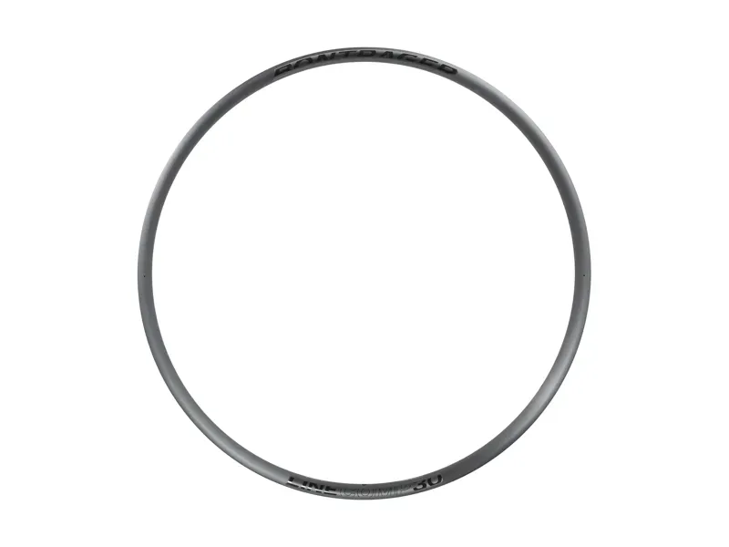 Bontrager Line Comp 30 29in TLR PV 28H Gen2 Rim Black Front or Rear