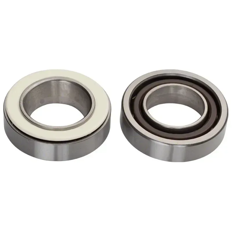 Campag RE-100 Hub Bearing Kit