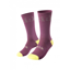 Fizik Team Socks in Purple