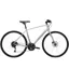 Trek FX 2 Disc Hybrid Bike in Quicksilver