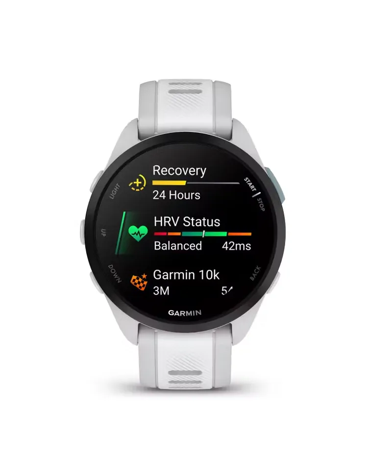 Garmin Forerunner 165 Music Mist Grey / Whitestone