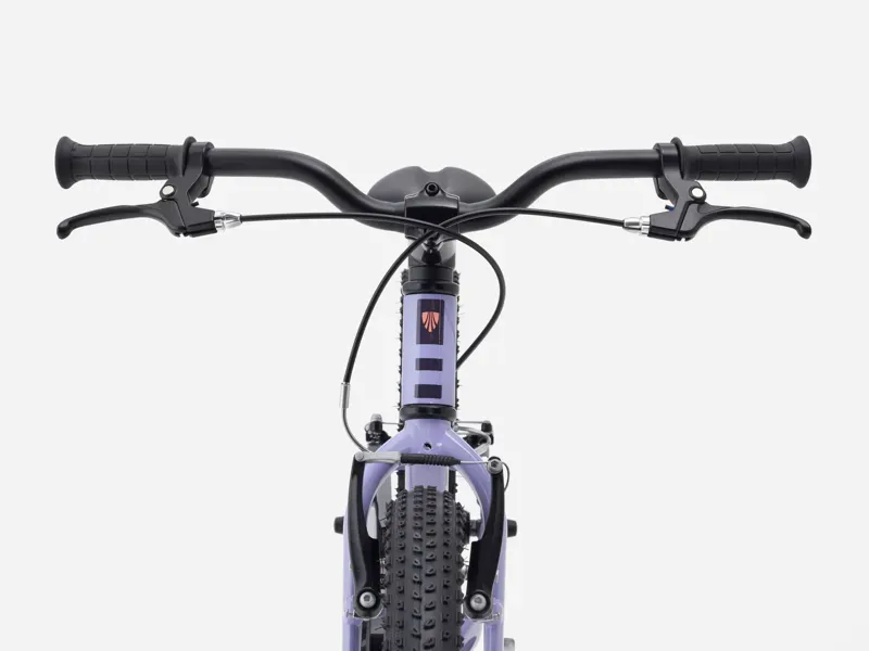 Precaliber 20 FW 20 LAVENDER HAZE 20 wheel-3