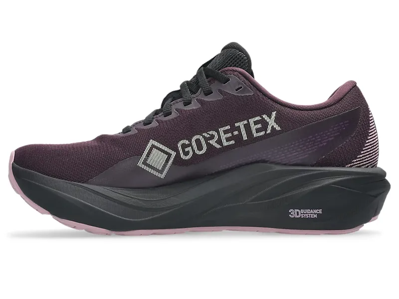 Asics Women's GT-2000 15 GTX Dark Aubergine/Black-2