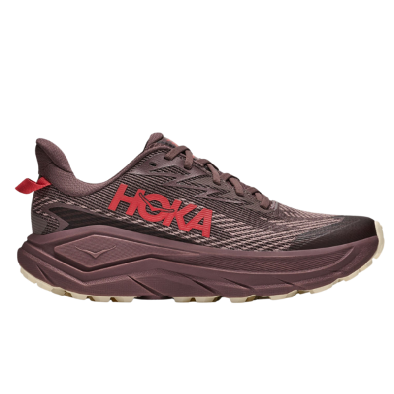 Hoka One One Women's Challenger 8 GTX Smoky Quartz/Alabaster