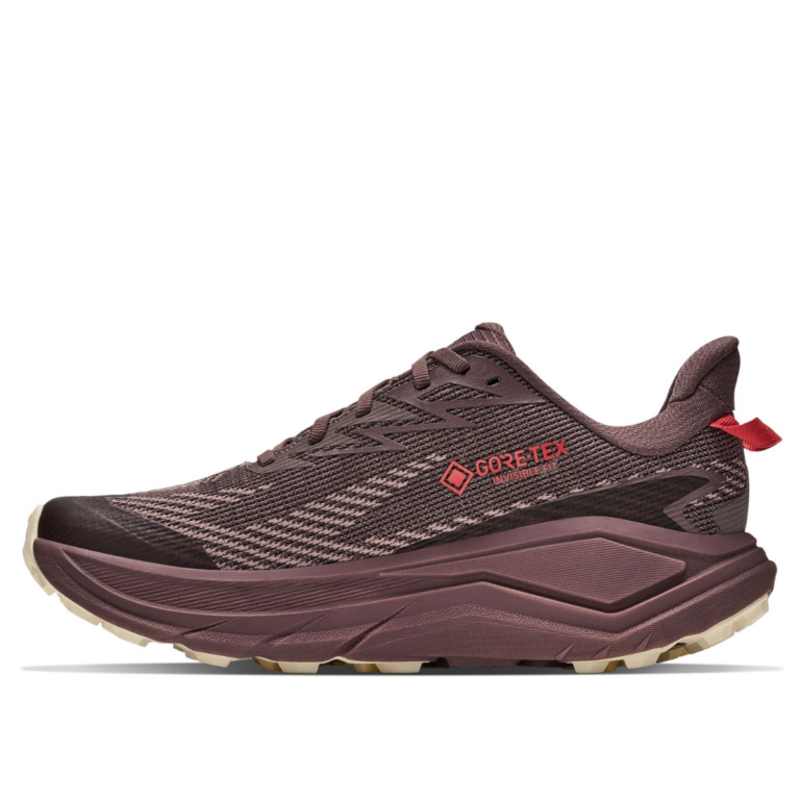 Hoka One One Women's Challenger 8 GTX Smoky Quartz/Alabaster-3