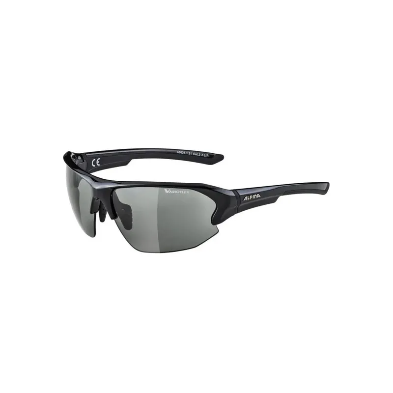 Alpina Lyron HR VL+ Black Lens Sunglasses in Black-1