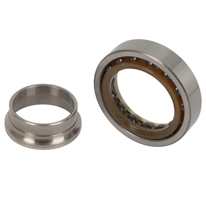 Campagnolo SH-100 Rear Bearing Kit-1