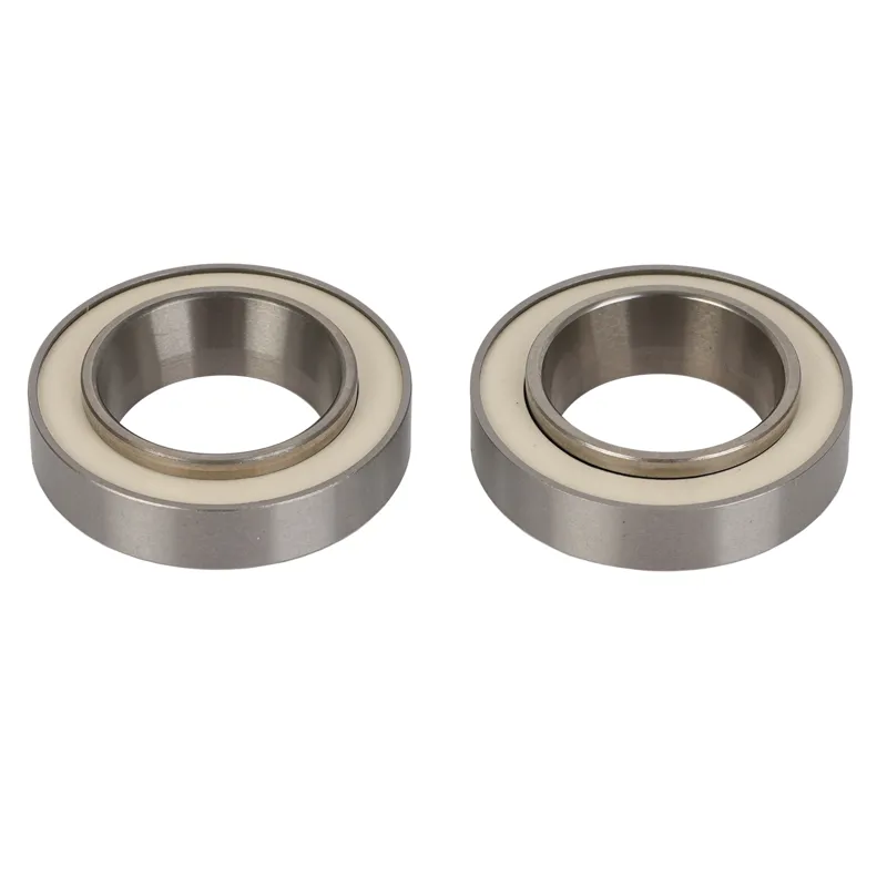 Campagnolo SH-100 Rear Bearing Kit