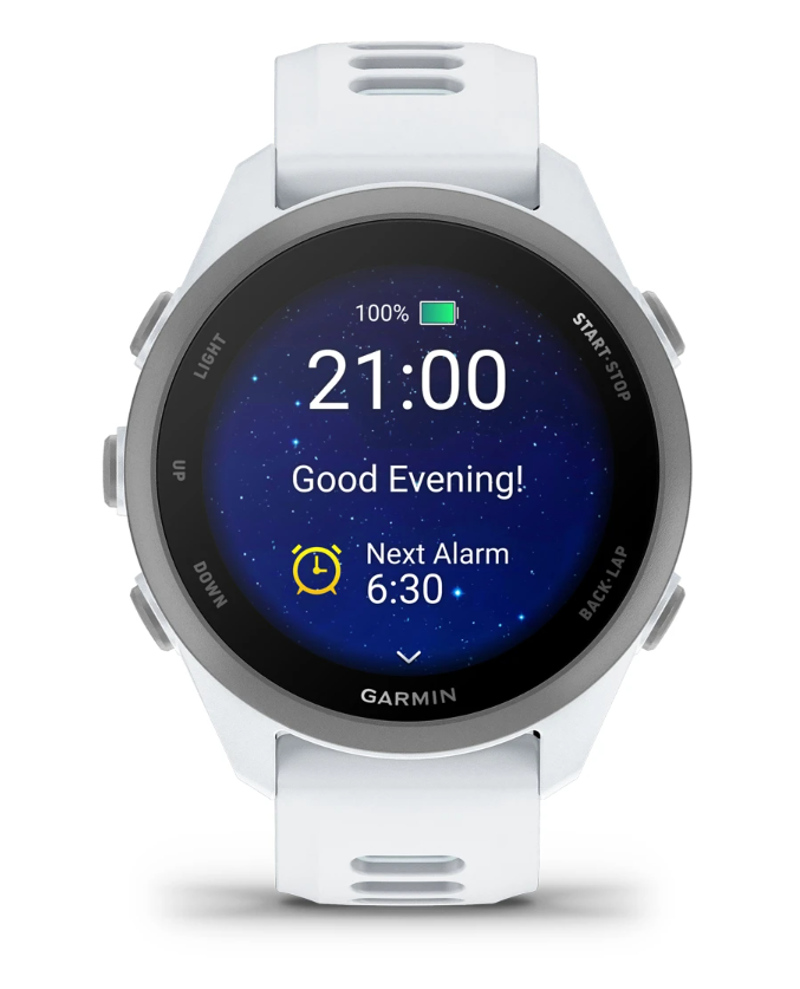 Garmin Forerunner 170 - Whitestone/Cloud Blue