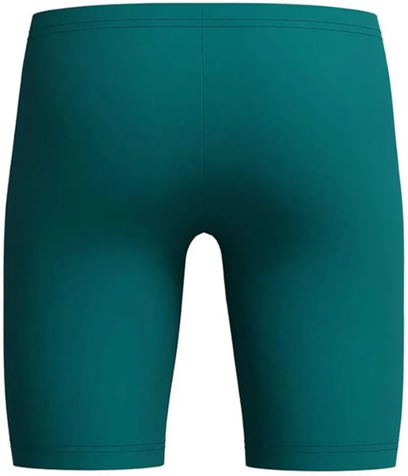 Speedo Boys Medley Logo Jammer Deep Emerald/Alfalfa Green-4