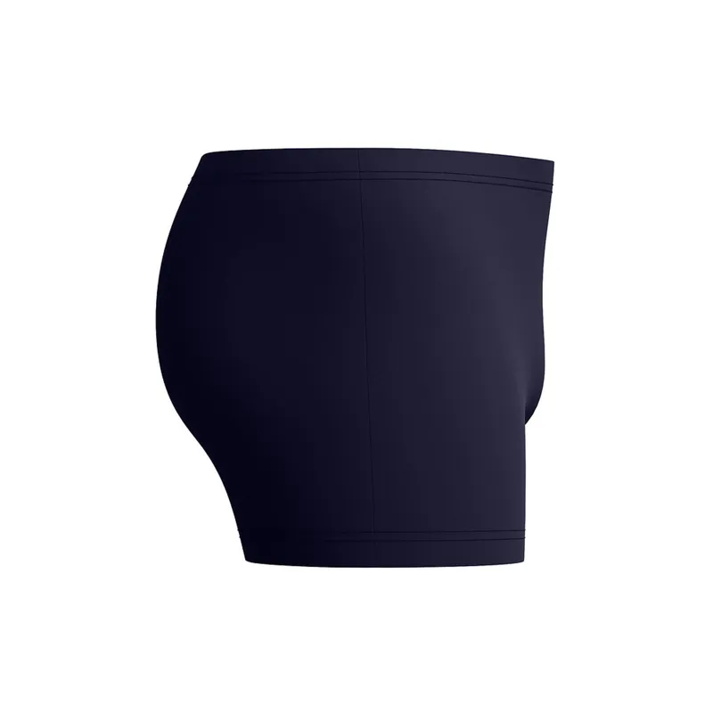 Speedo Men's Medley Logo Aquashort Navy/Sugar Blue-1