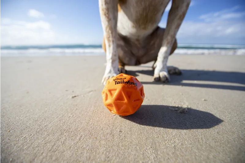 Waboba Tailwind Dog Ball Orange-3