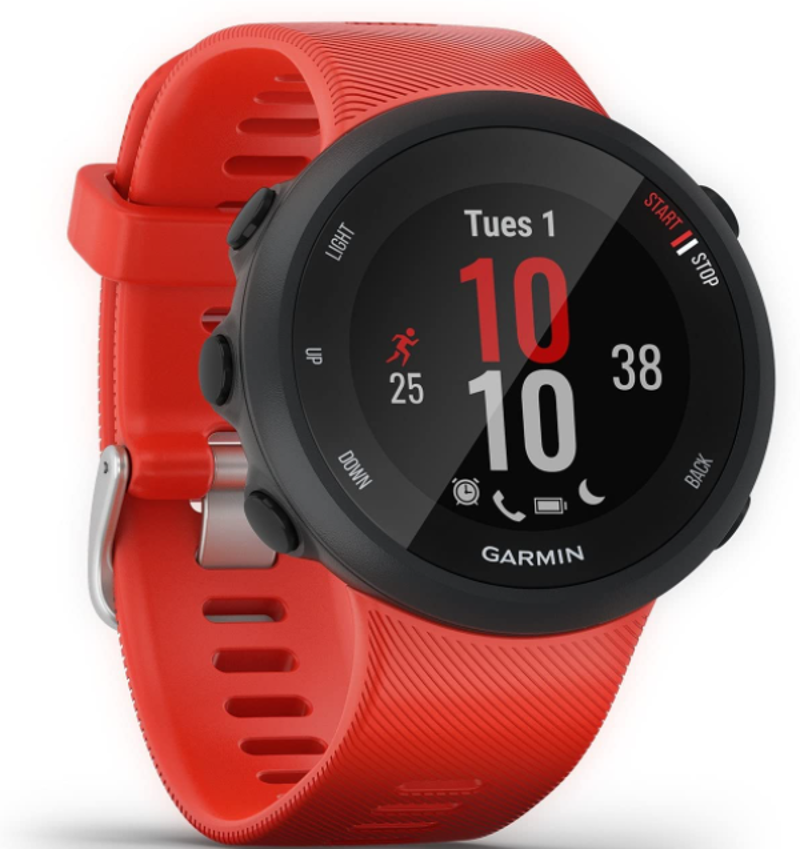 Garmin Forerunner 45 Running Watch - Lava Red-1