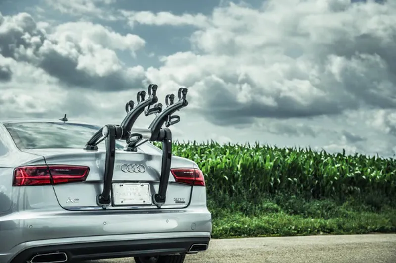 Saris: Superbones Cycle Carrier - Black-3