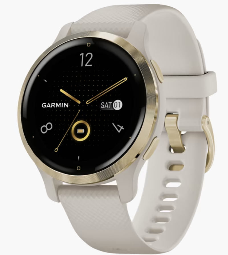 Garmin Venu 2S GPS Smartwatch - Tundra/Champagne-1