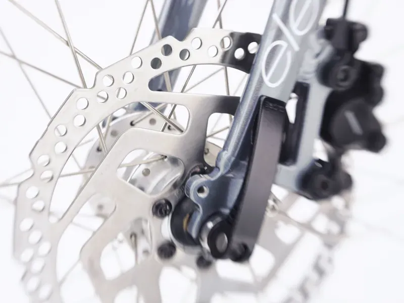 Townie Path Go 10d Step Thru Eu Holographic Medium-3